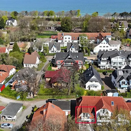 Duenenbrise 징스트