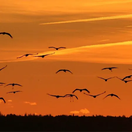 아파트 Duenenbrise *