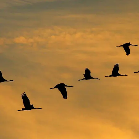 아파트 Duenenbrise