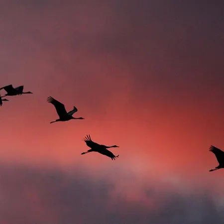 Duenenbrise 아파트